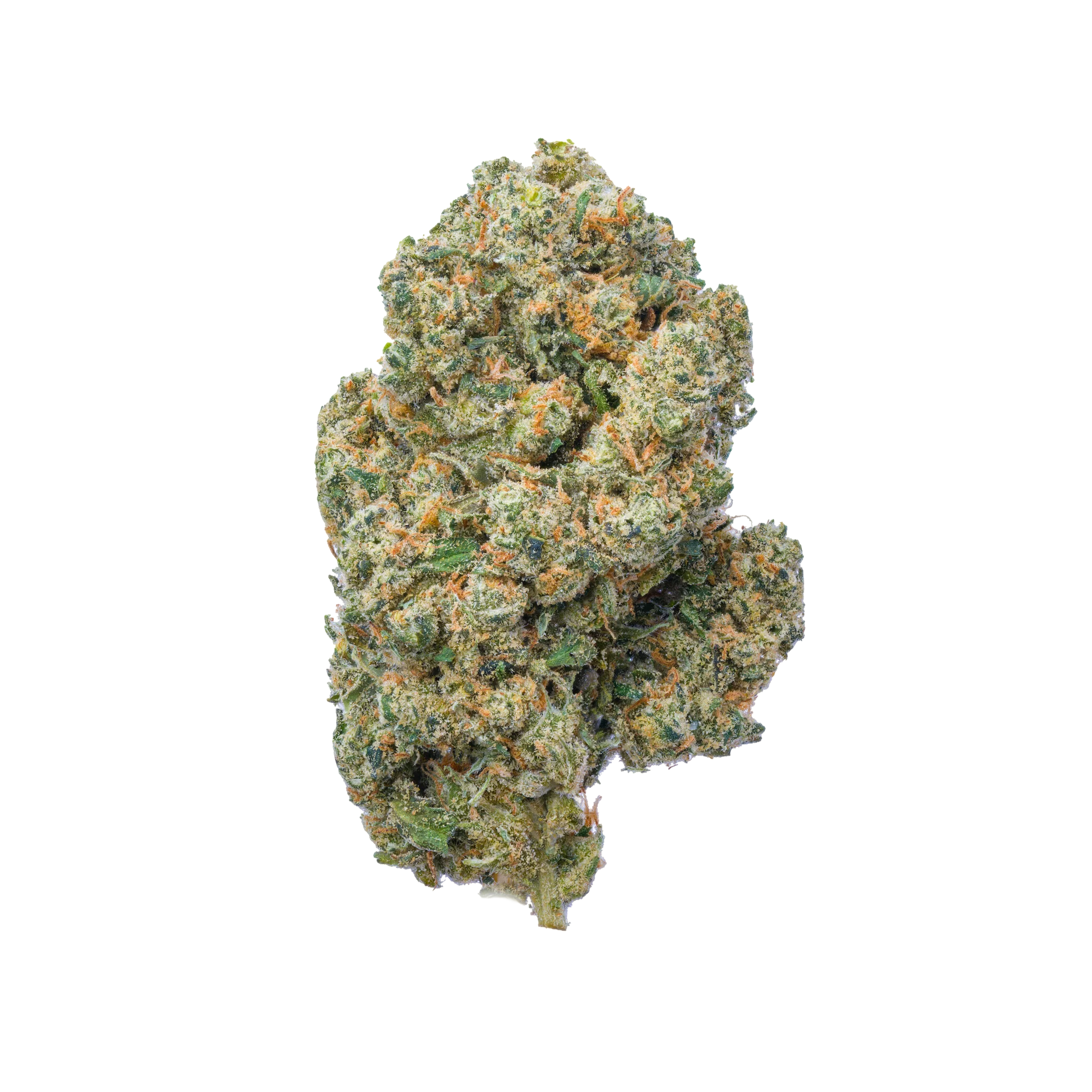 Jack Herer THCA Flower || Sativa Strain – Secret Nature