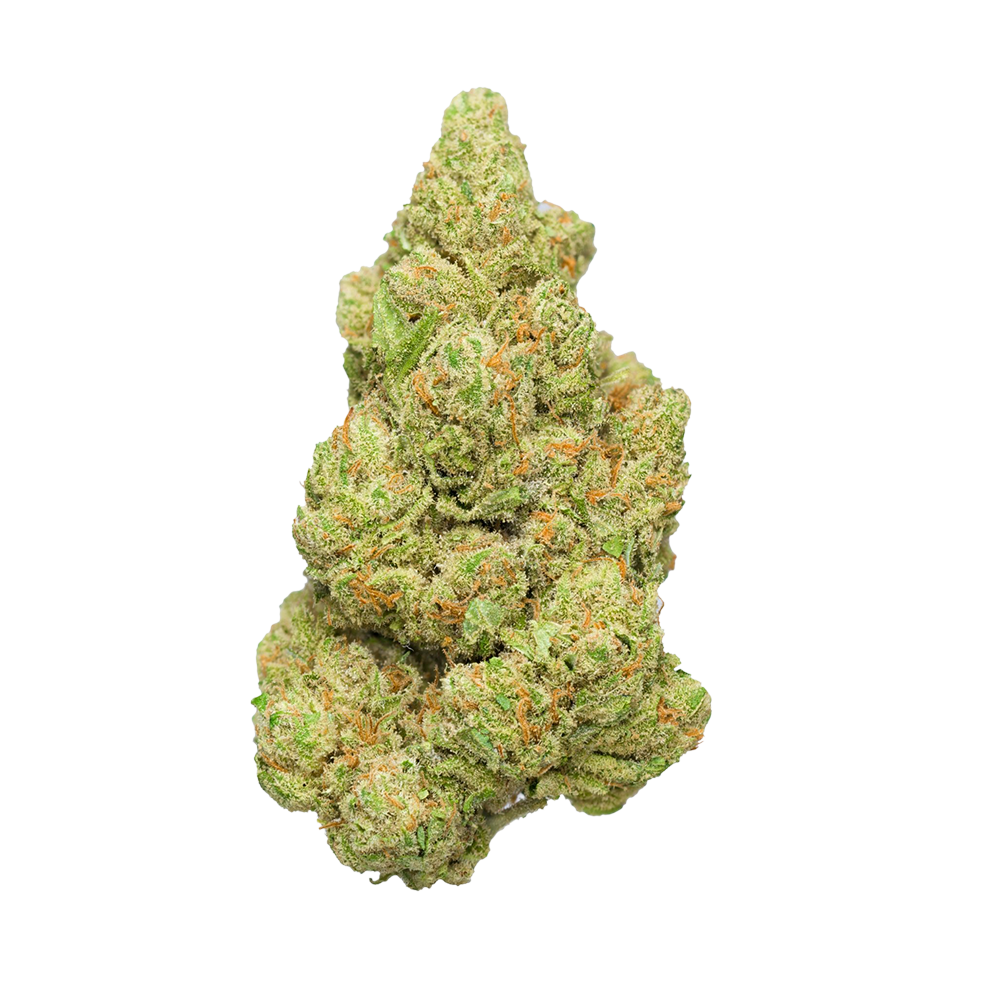 Nightfire THCA cannabis buds on transparent background