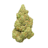 Nightfire THCA cannabis buds on transparent background