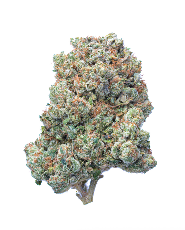 SFV OG THCA
