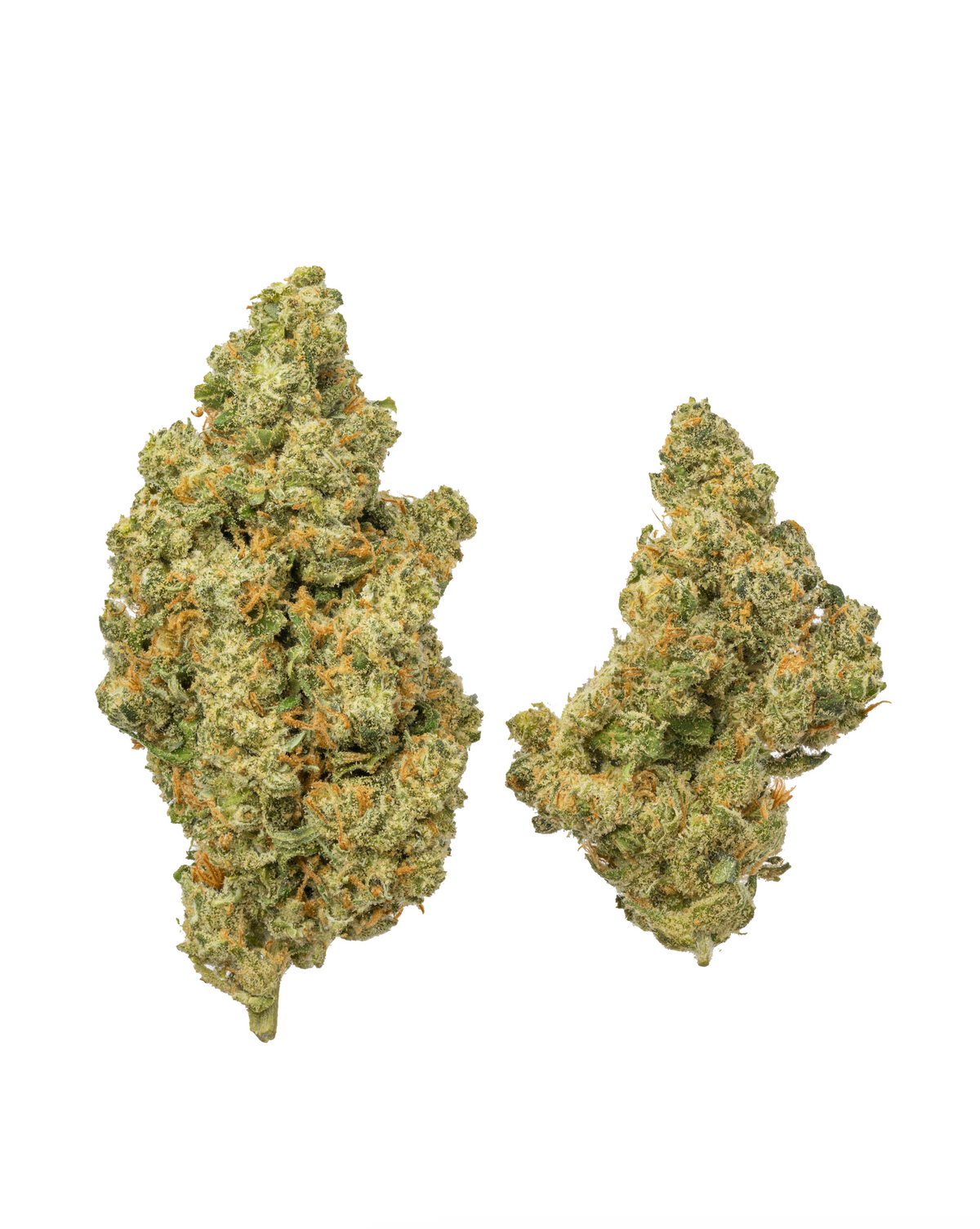 Jack Herer THCA Flower || Sativa Strain – Secret Nature
