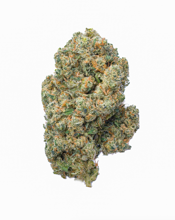 Jack Herer THCA