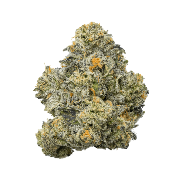 Strudel_THCA-