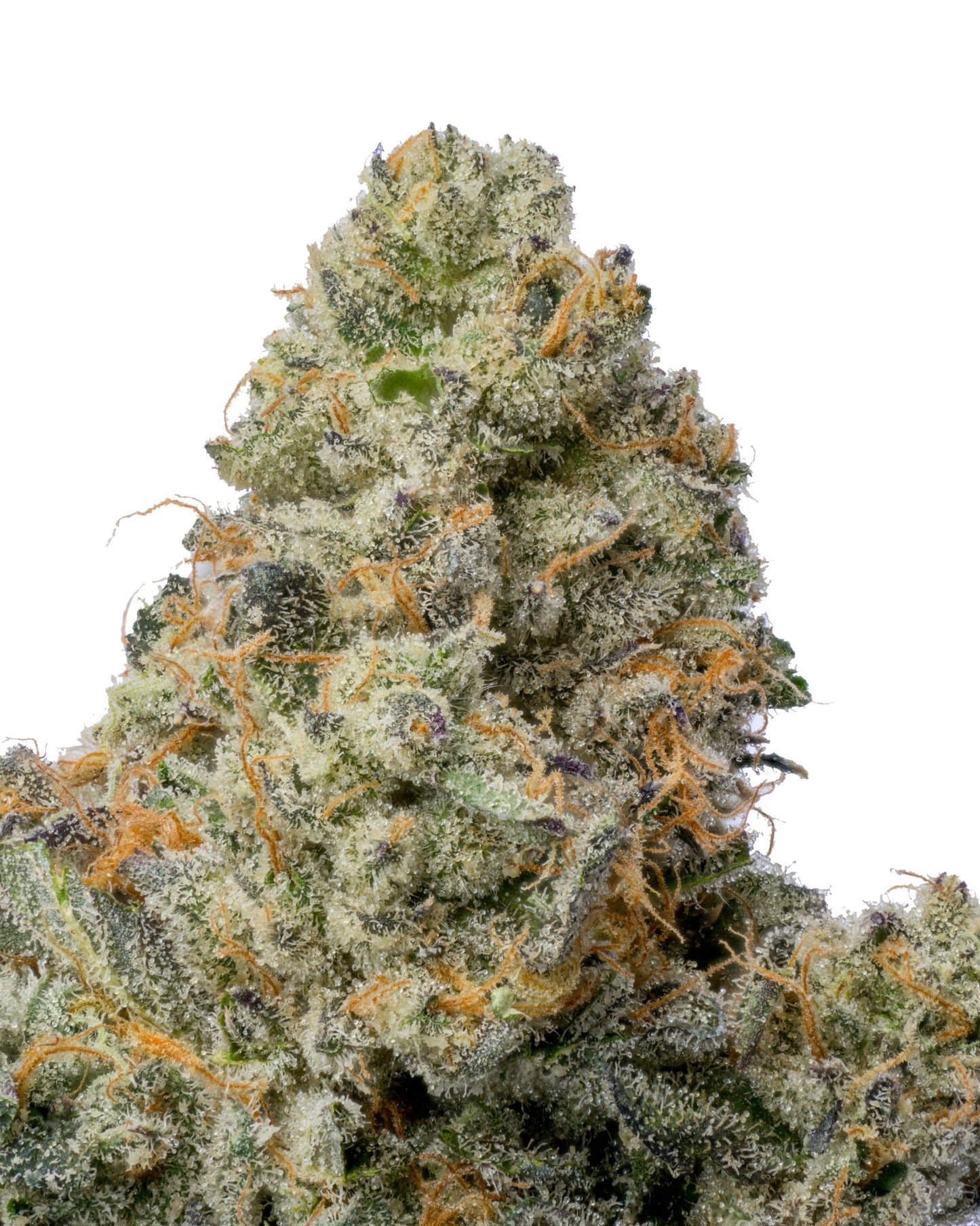 Animal Runtz THCA - Secret Nature