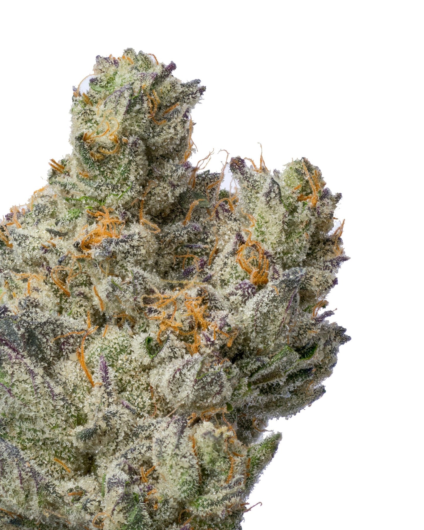 Animal Runtz THCA - Secret Nature