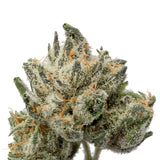 Blue Runtz THCA - Secret Nature