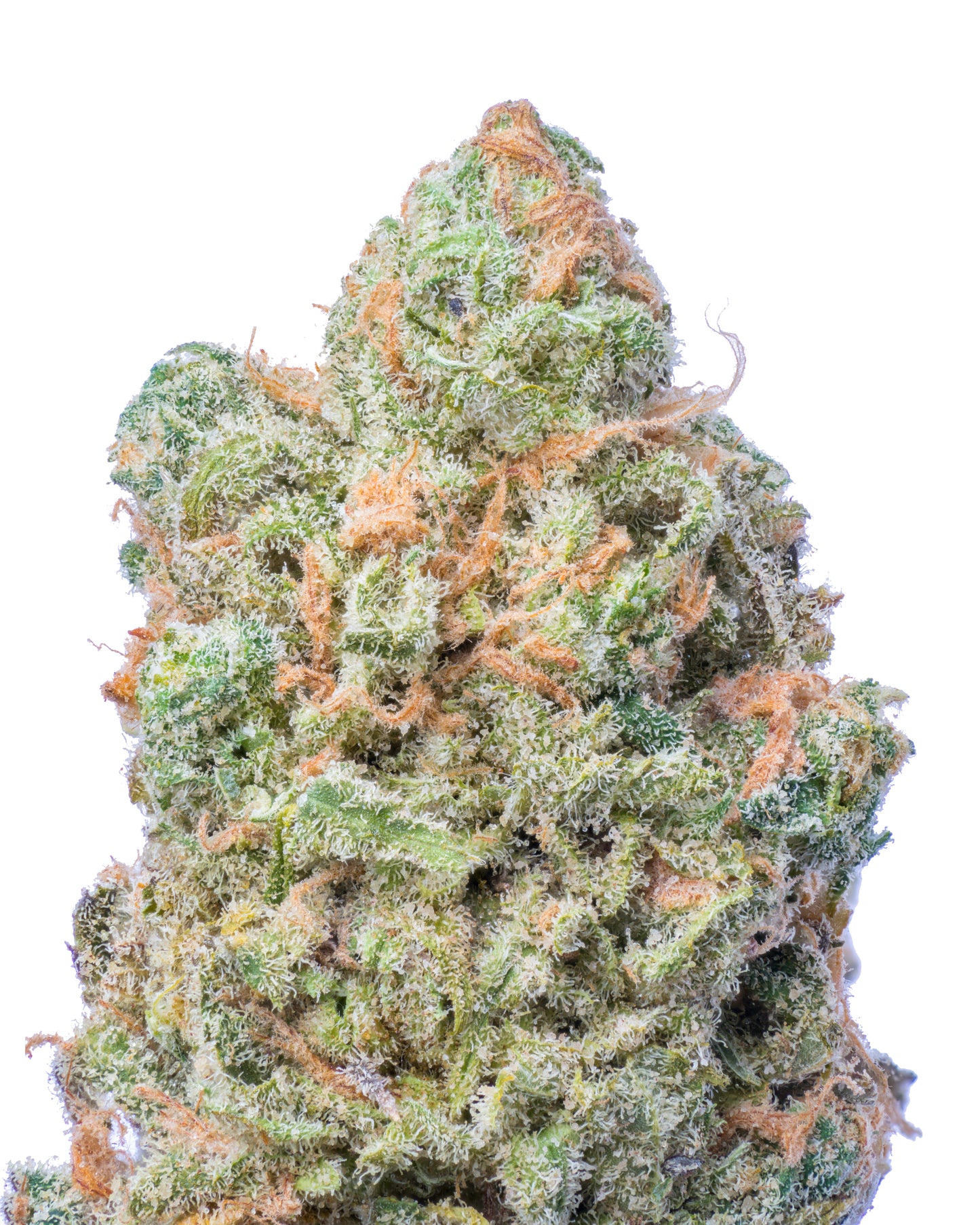 Blue Dream THCA Flower || Sativa-Hybrid Strain Secret Nature Blue Dream THCA Flower || Sativa-Hybrid Strain Secret Nature