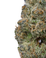 Cherry Kush THCA - Secret Nature