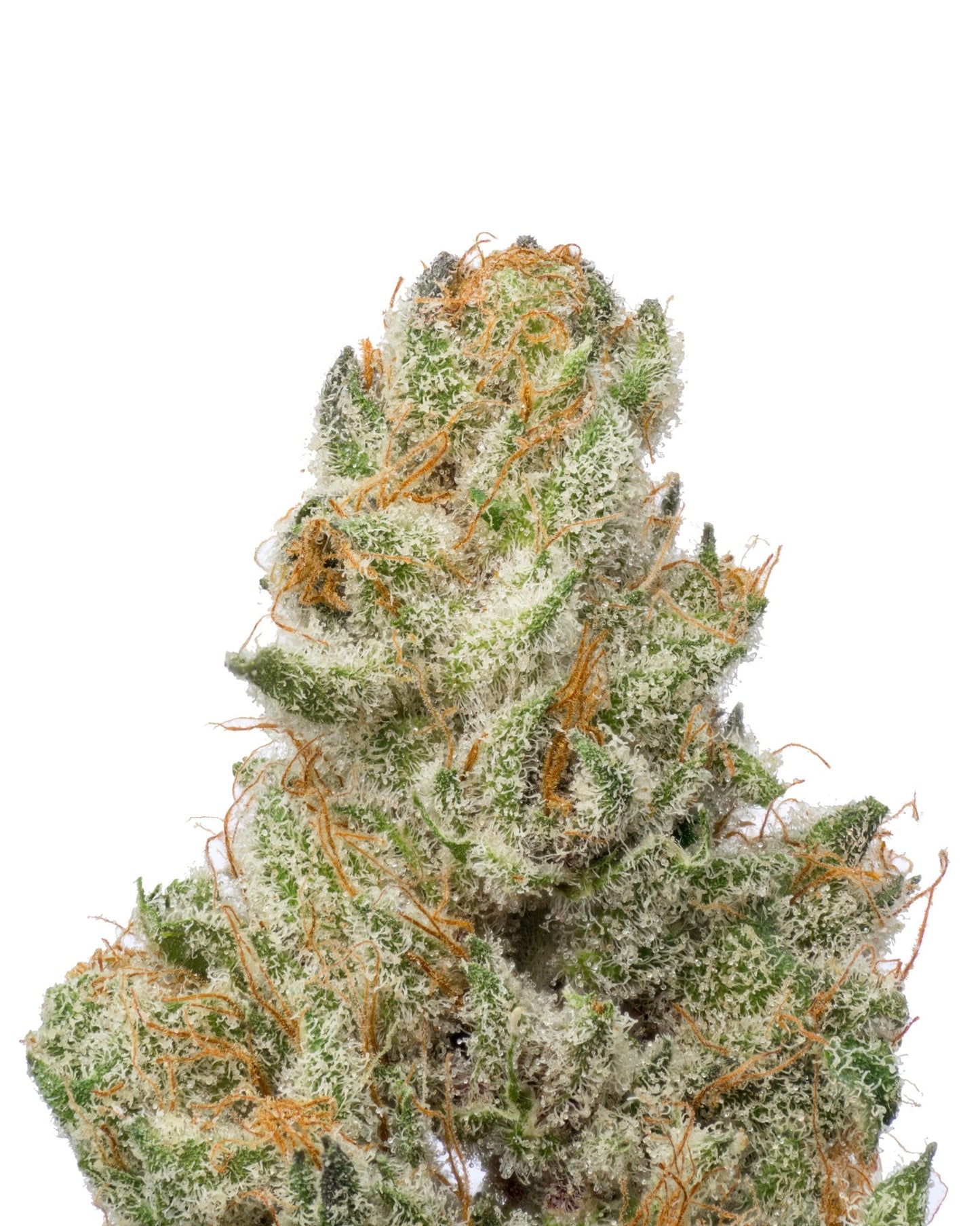 Cherry Kush THCA - Secret Nature