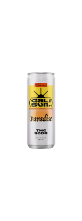 Cali Sun Solstice 12oz can — 5mg THC soda, Strawberry + Pineapple + Orange (render currently labeled Paradise — pending final art)