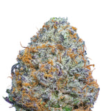 Mocha - THCA - Secret Nature