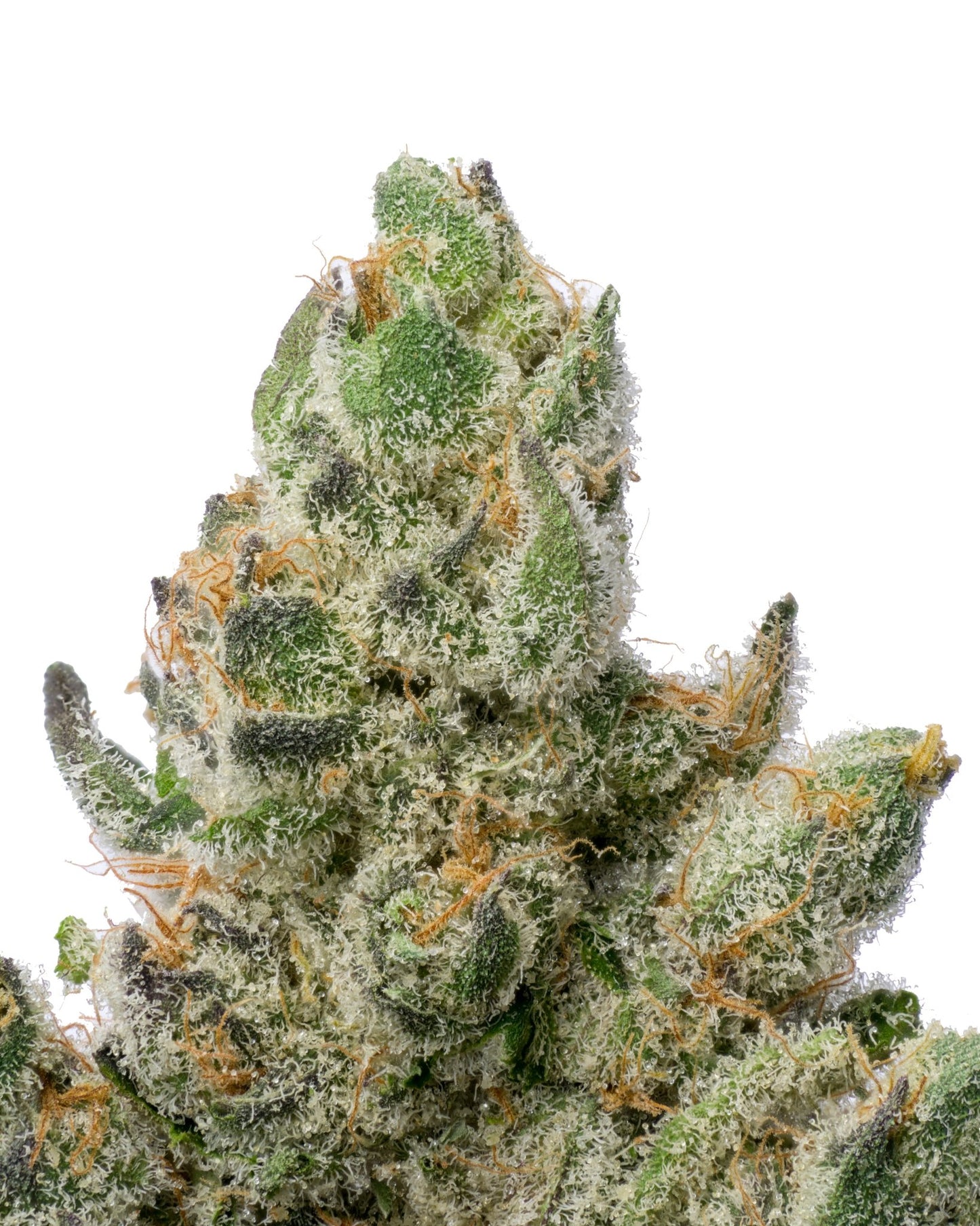 Mochi Gelato THCA - Secret Nature