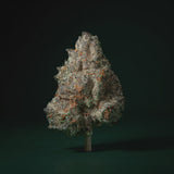 White Truffle THCA 360 degree rotating view