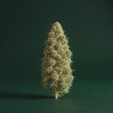 Alien OG THCA 360 degree rotating view