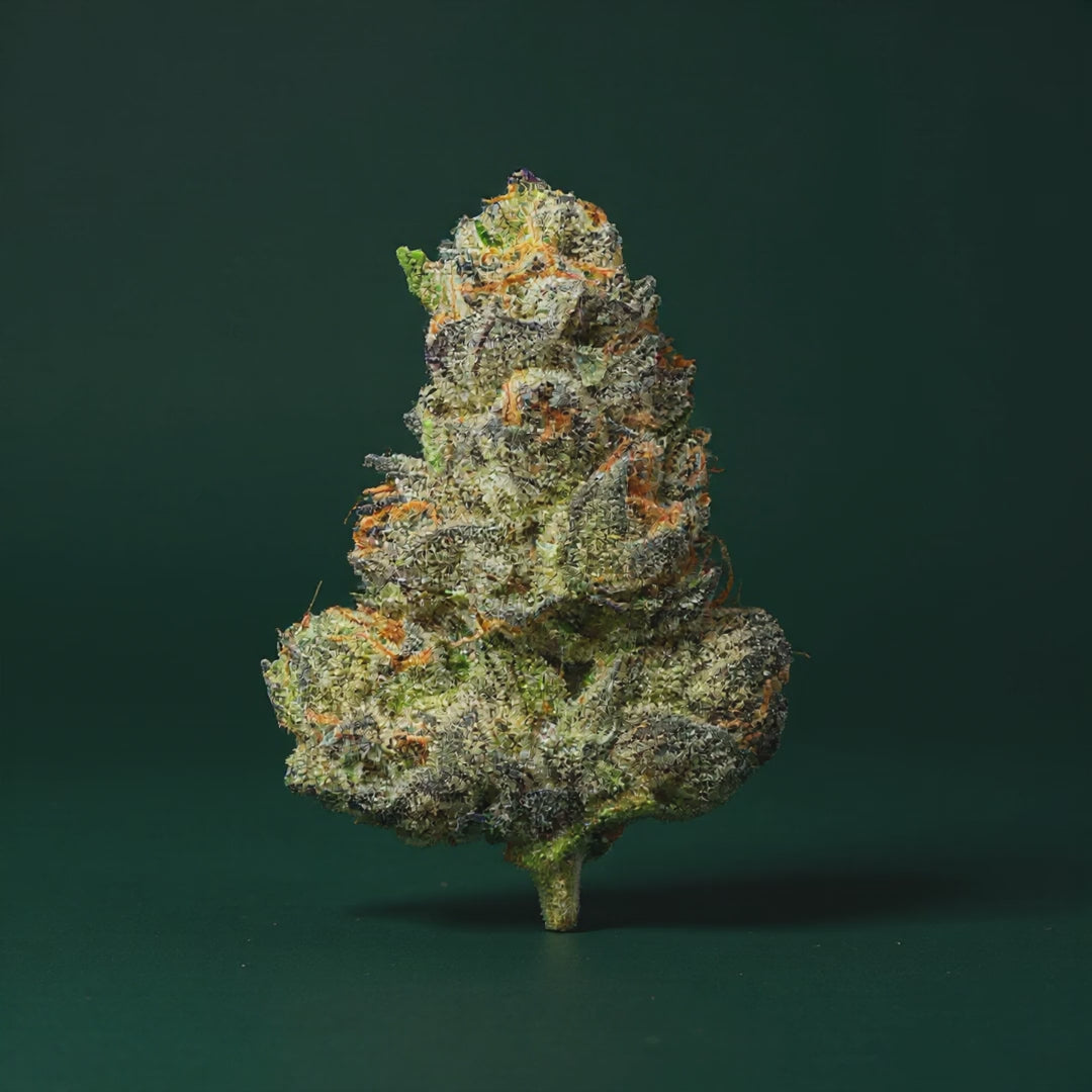Trix THCA Flower || Sativa Strain | Secret Nature