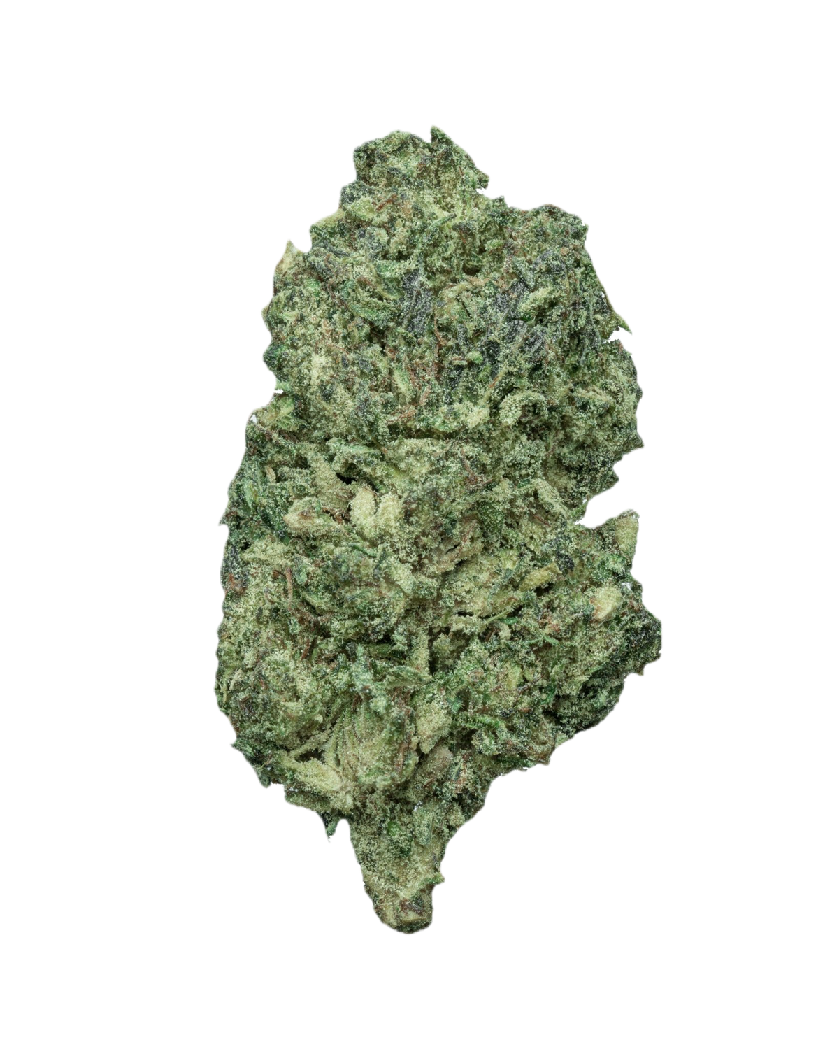 Sidewinder CBD