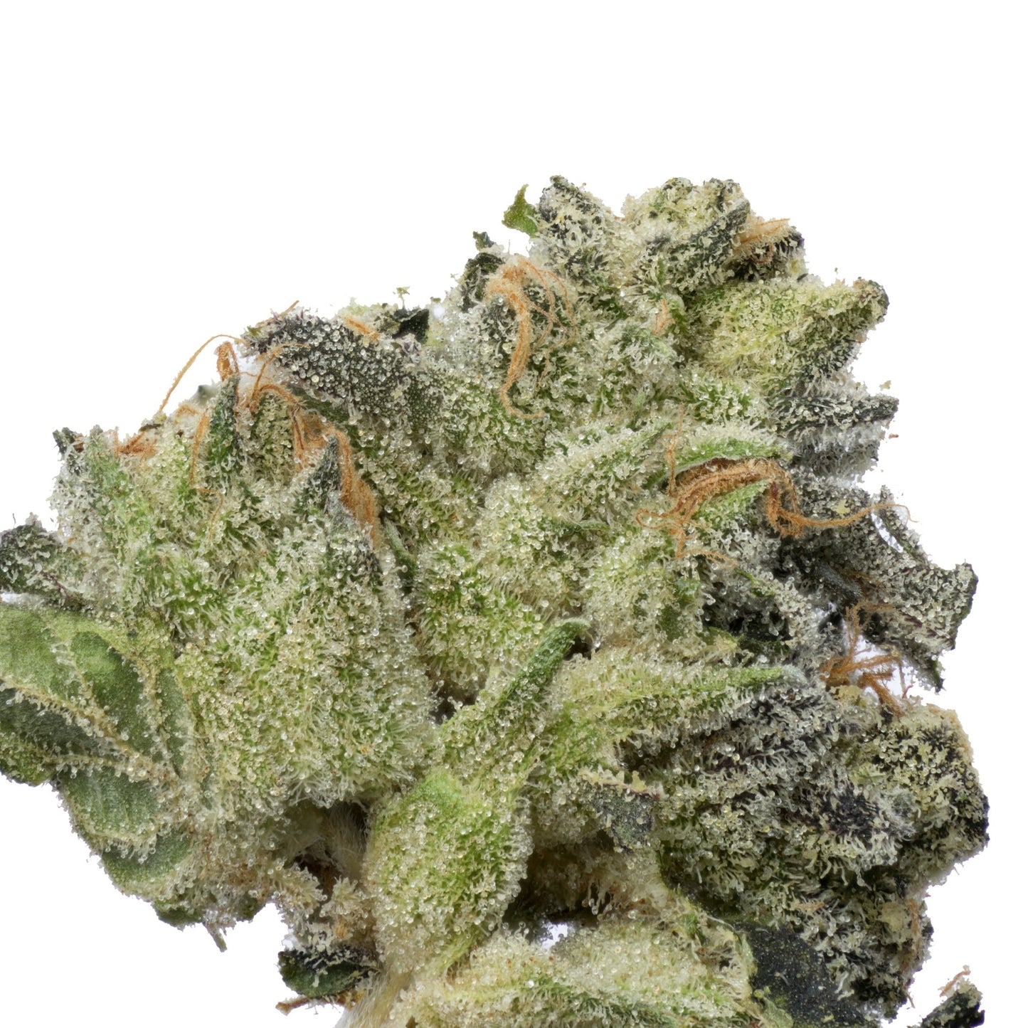 Strudel THCA - Secret Nature