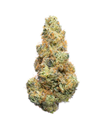 Shop THCA Flower