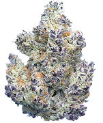 CBD Flower