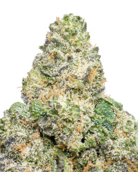 Frosted Kush THCA