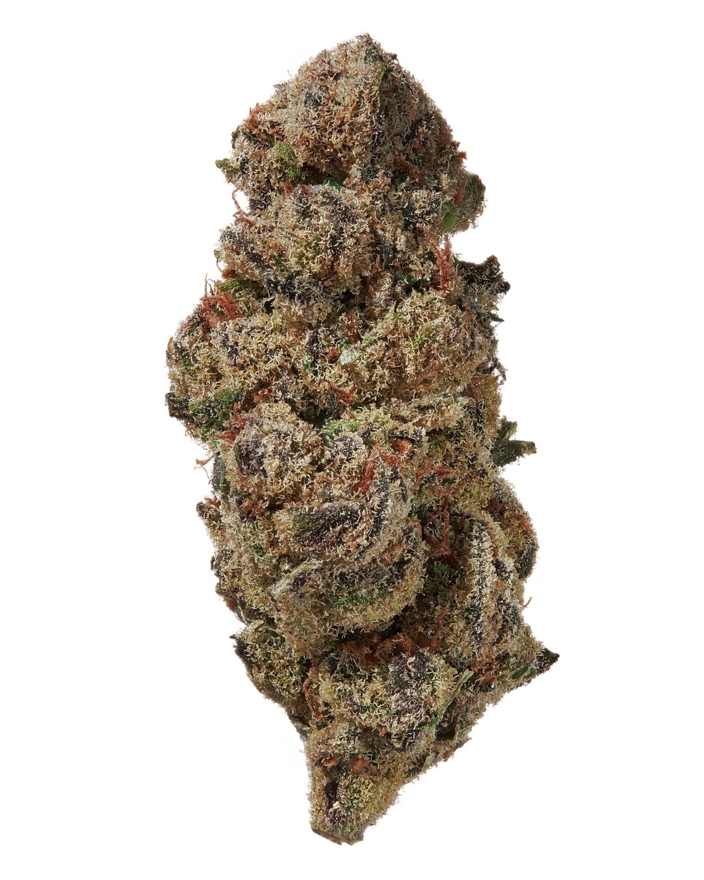 close-up of Grape Crush THCA cannabis buds