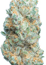 JetFuel - Secret Nature