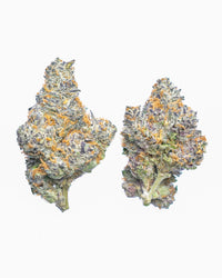 Kush Glue THCA
