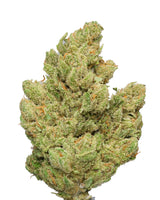 close-up of Nightfire THCA cannabis buds showing trichomes