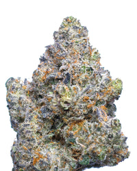 Purple Rain THCA