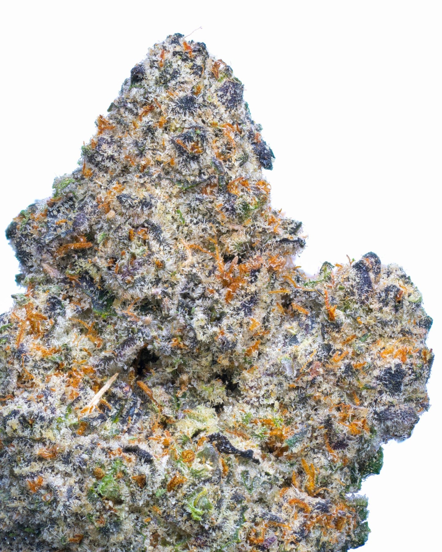 purple rain vape & smoke shop Shop Purple Rain THC Flower – Secret Nature