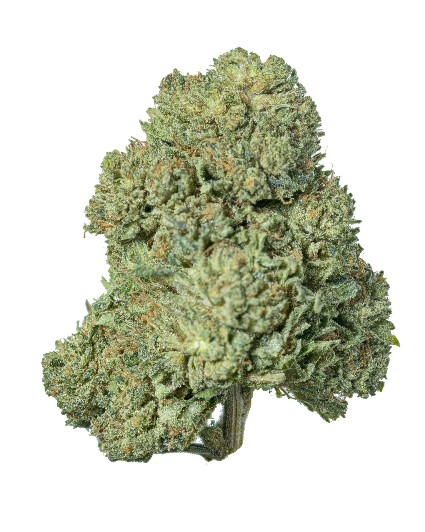 close-up of Secret OG delta-8 cannabis flower buds