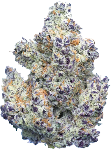 Collection Banner Flower